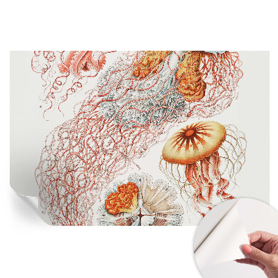Tapeta fotograficzna samoprzylepna Fantazyjne meduzy