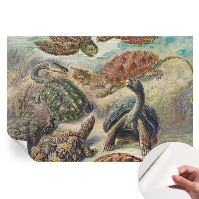 Nowoczesna fototapeta do salonu Żółwiej fauna