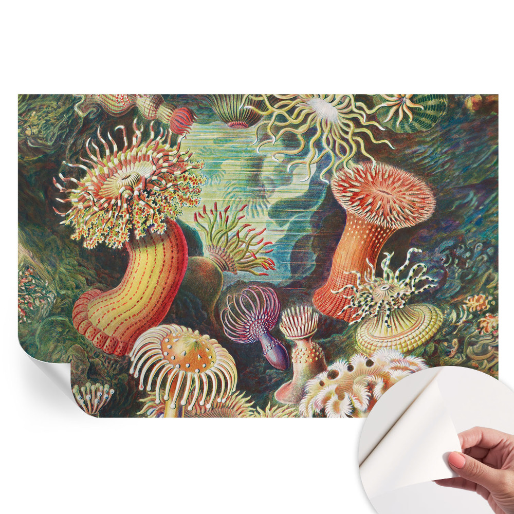 Samoprzylepna fototapeta Fantazyjne anemony do salonu