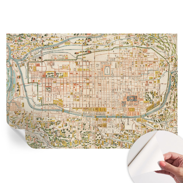 Nowoczesna fototapeta do salonu Zabytkowa mapa