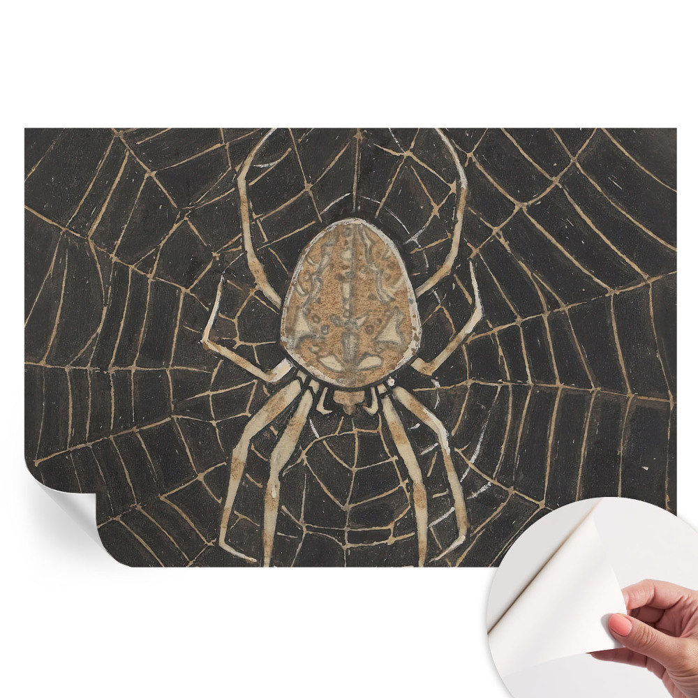 Fototapeta samoprzylepna do salonu Pajęcza sieć