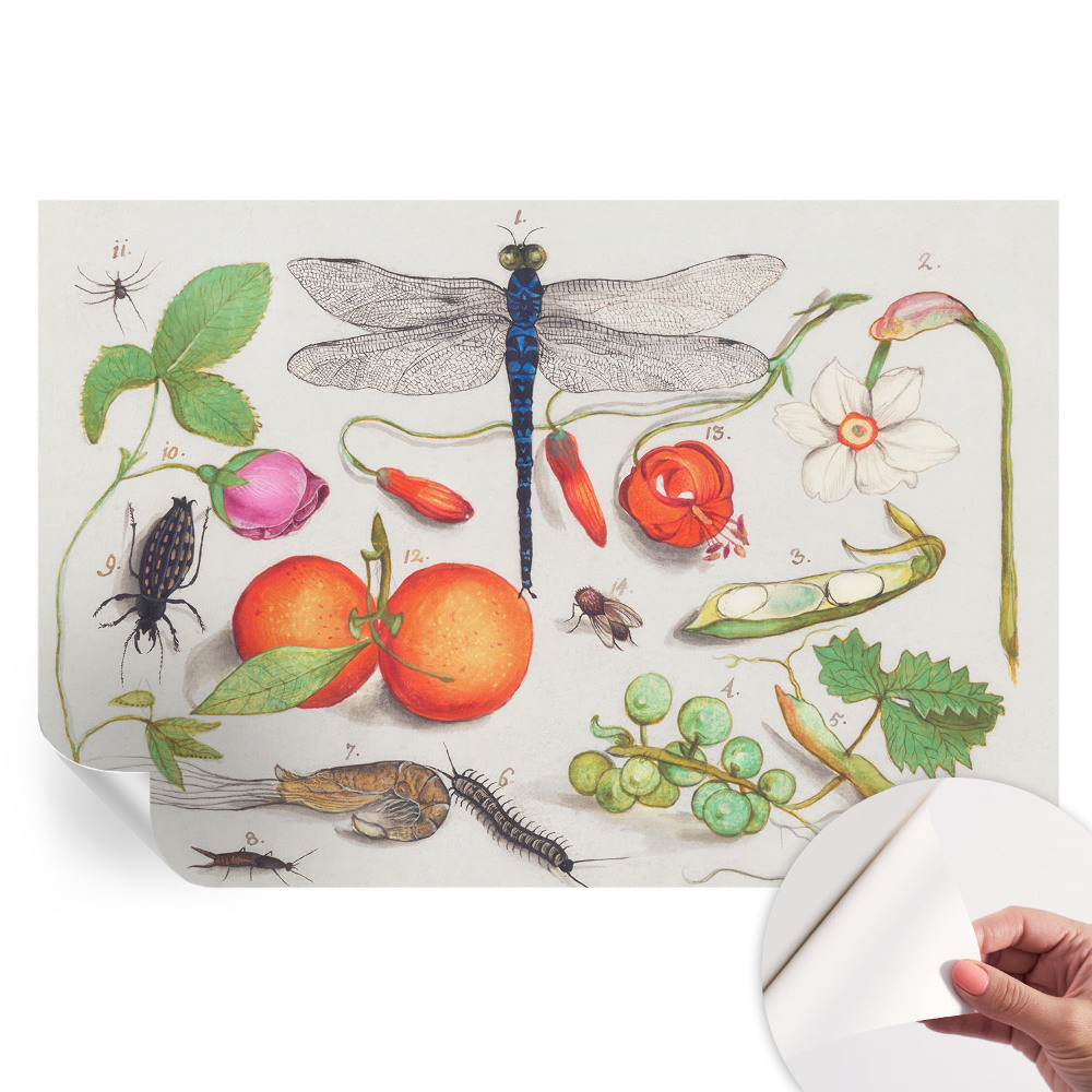 Fototapeta samoprzylepna do sypialni Przyrodnicza ilustracja