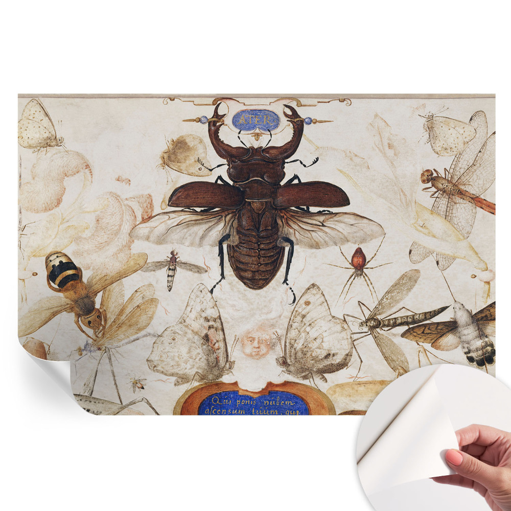 Tapeta fotograficzna samoprzylepna Naturalna harmonia