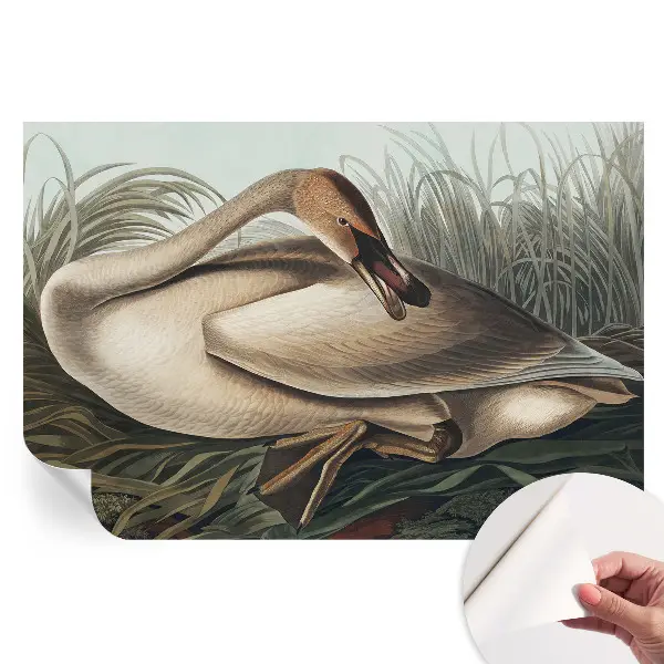 Samoprzylepna fototapeta z motywem naturalnego ptaka do sypialni