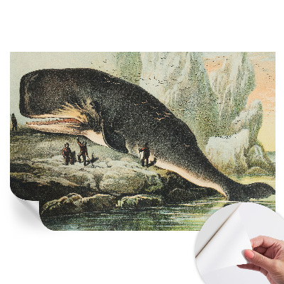 Tapeta fotograficzna samoprzylepna Morska gigantyczność