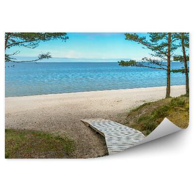 Fototapeta Mostek plaża drzewa ocean zieleń