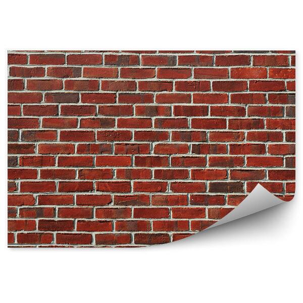 Fototapeta samoprzylepna Tekstura muru