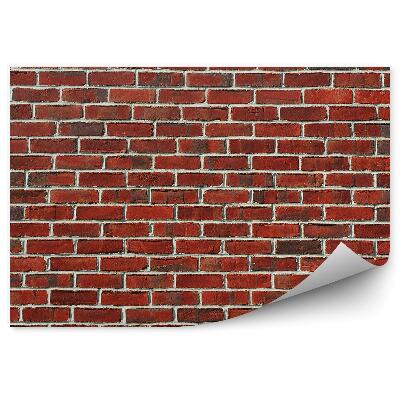 Fototapeta samoprzylepna Tekstura muru