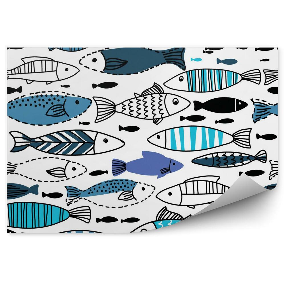 Fototapeta Podwodny świat ryby