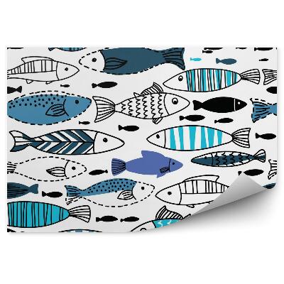 Fototapeta Podwodny świat ryby