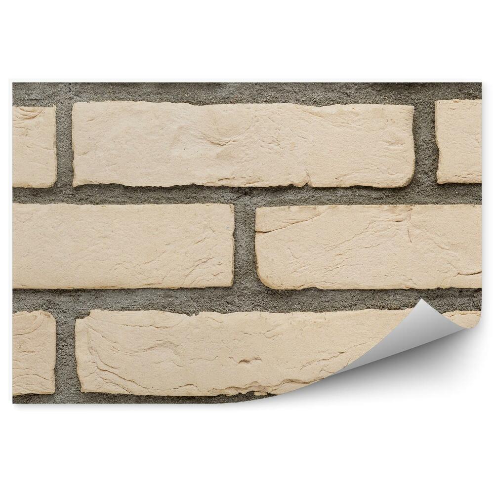 Fototapeta samoprzylepna Beżowe cegły widoczne z bliska