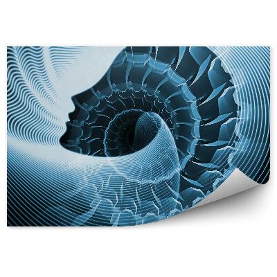 Okleina na ścianę Iluzja twarz umysł