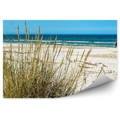 Okleina na ścianę Trawa wydmy morze plaża morze Bałtyckie