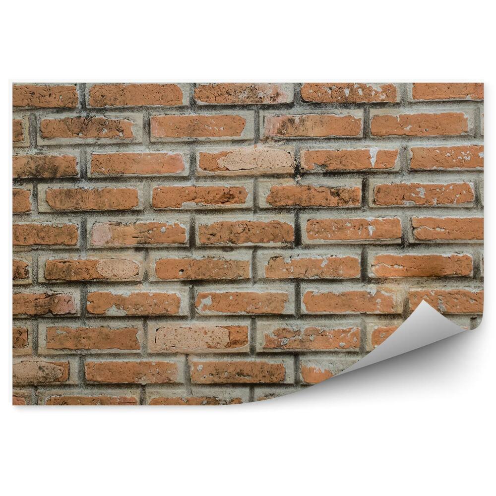 Fototapeta samoprzylepna Postarzała cegła