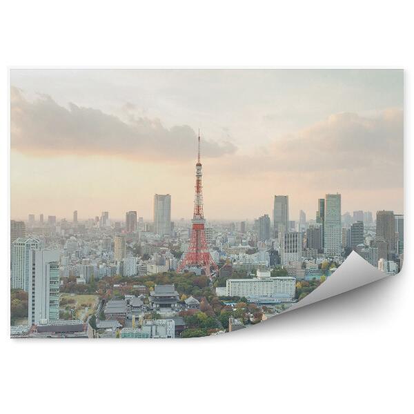 Okleina na ścianę widok z lotu ptaka Tokio Japonia