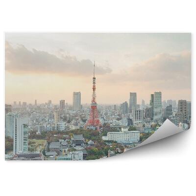 Okleina na ścianę widok z lotu ptaka Tokio Japonia