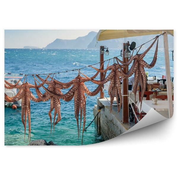 Fototapeta ośmiornice jachty morze skały grecka tawerna Santorini Grecja