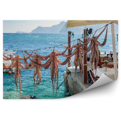 Fototapeta ośmiornice jachty morze skały grecka tawerna Santorini Grecja