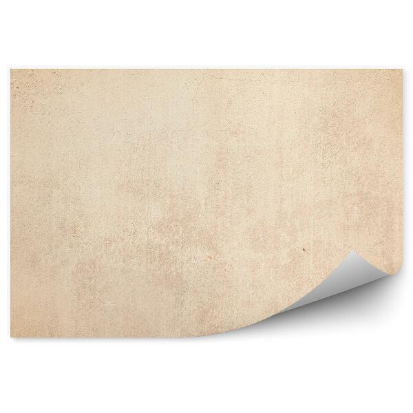 Fototapeta samoprzylepna Beżowy betonowy mur