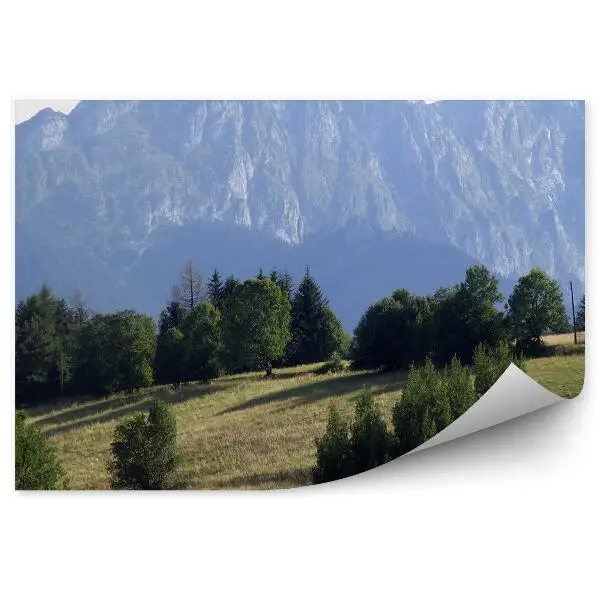 Okleina na ścianę Giewont góry drzewa iglaste trawa