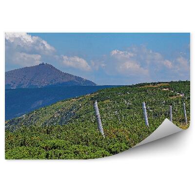 Okleina na ścianę Szlak górski w sudetach krajobraz