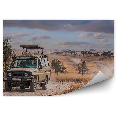 Okleina ścienna Dym pył piasek podróż safari pochmurne niebo