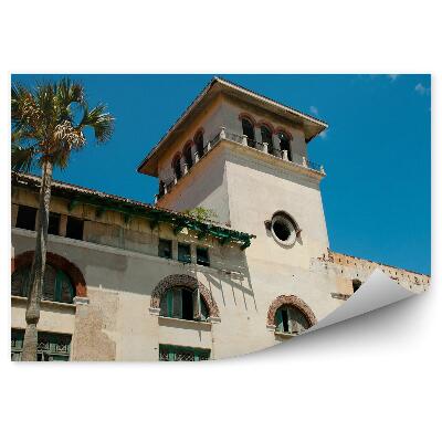 Okleina ścienna Budynek celny kuba palmy