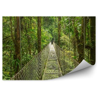 Okleina na ścianę Podwieszany most z zabezpieczeniem w gęstym lesie