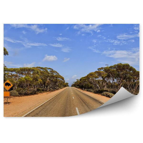 Okleina na ścianę Znak drogowy droga jezdnia natura drzewa