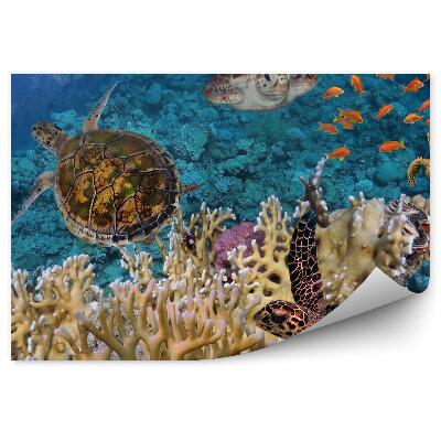 Okleina ścienna Żółwie rybki i rafa koralowa