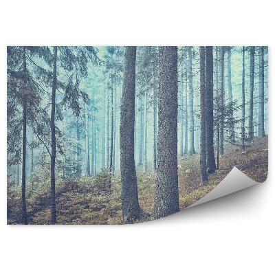 Okleina ścienna Las iglasty mgła