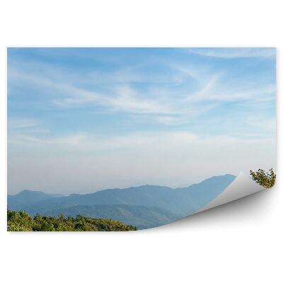 Fototapeta Góry zieleń droga drzewo niebo chmury