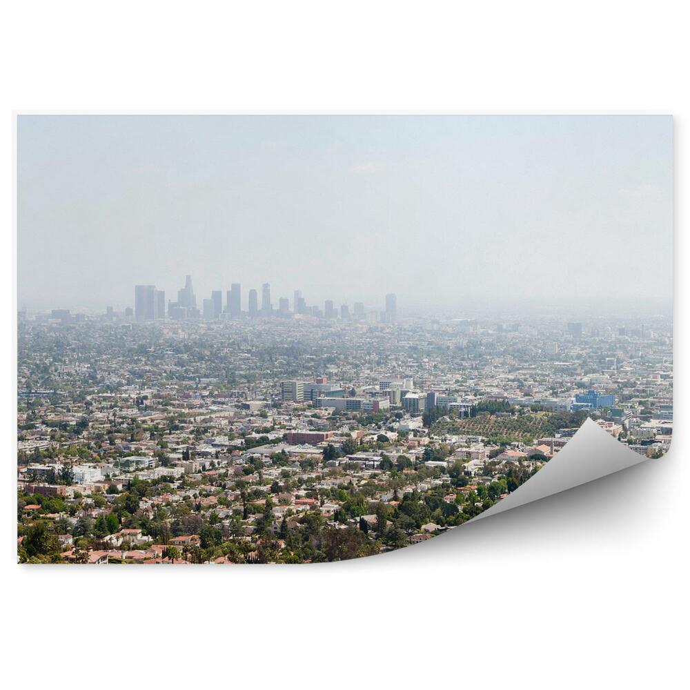Fototapeta Widok z lotu ptaka los angeles budynki drzewa