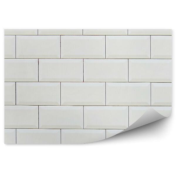 Fototapeta samoprzylepna Stary biały mur ceglany