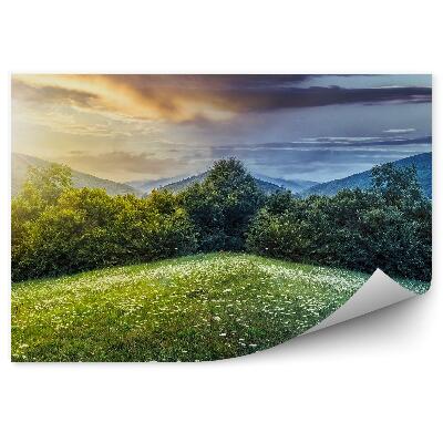 Fototapeta na ścianę Zielona polana kwiecista dzień noc słońce księżyc