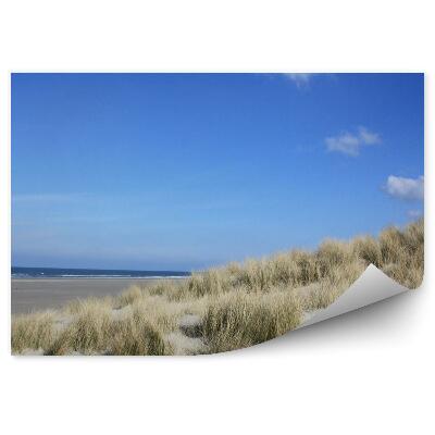 Fototapeta Ocean wydmy plaża trawa wyspa terschelling niebo chmury