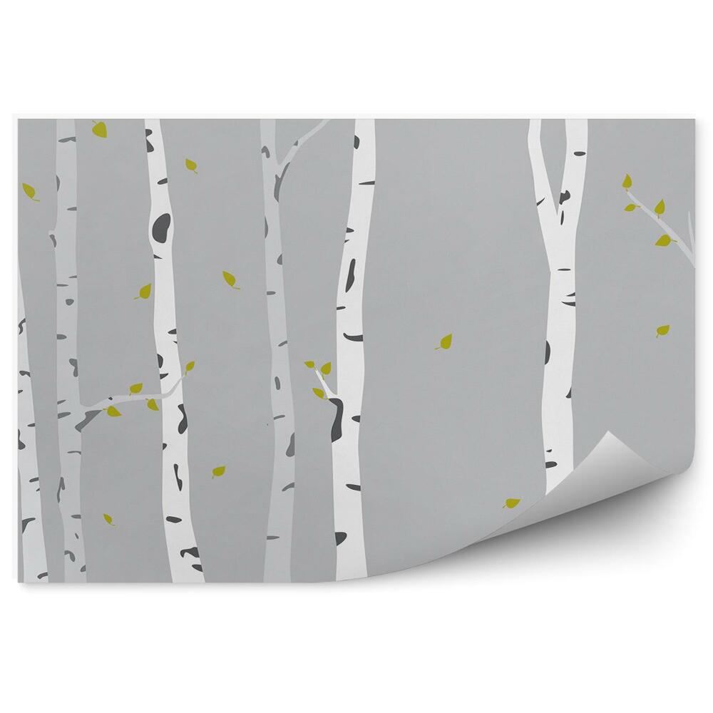 Okleina ścienna Jesienne brzozy opadające liście szare tło