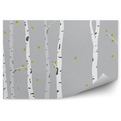 Okleina ścienna Jesienne brzozy opadające liście szare tło