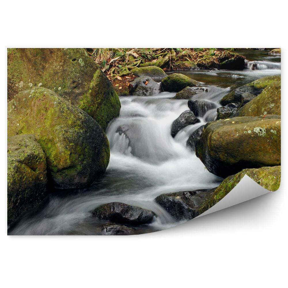 Okleina ścienna Strumień woda zbliżenie skały