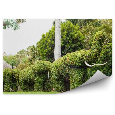 Okleina ścienna Ozdobne zielone krzewy słonie