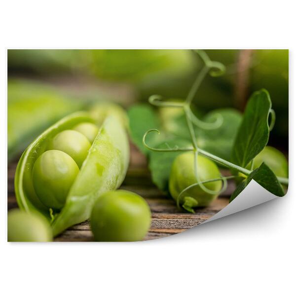 Okleina ścienna Groszek zielony kulki gałązka drewniany stół