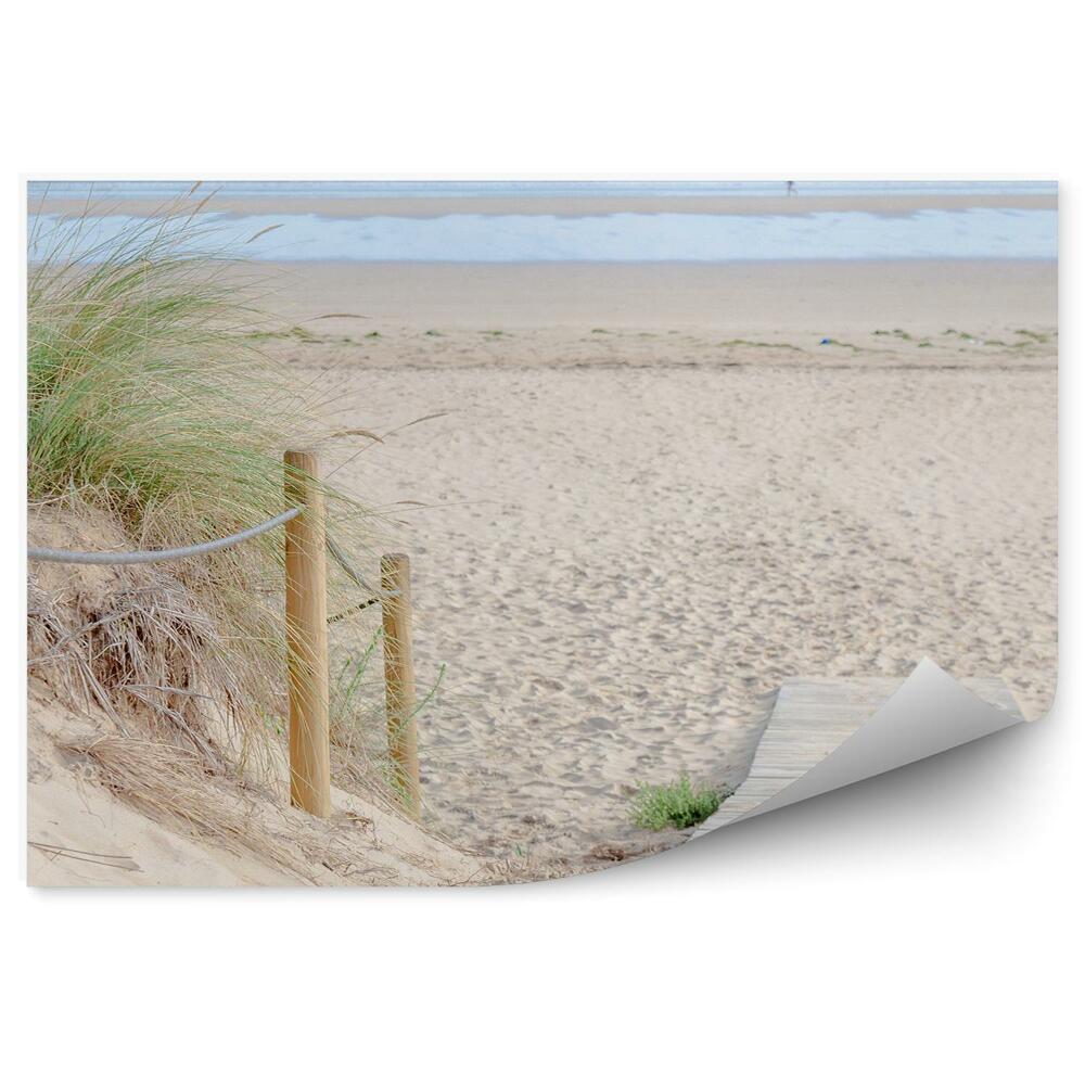 Fototapeta Pomost plaża trawy ocean niebo chmury