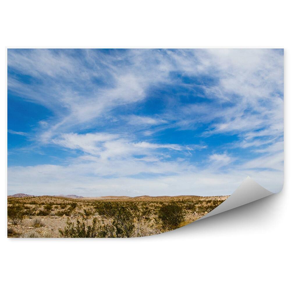 Okleina ścienna Skały rośliny niebo chmury skały