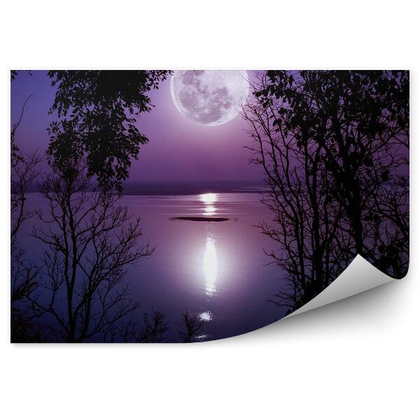 Fototapeta Las jezioro noc księżyc cień światła