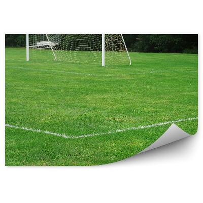 Fototapeta samoprzylepna Bramka boisko murawa