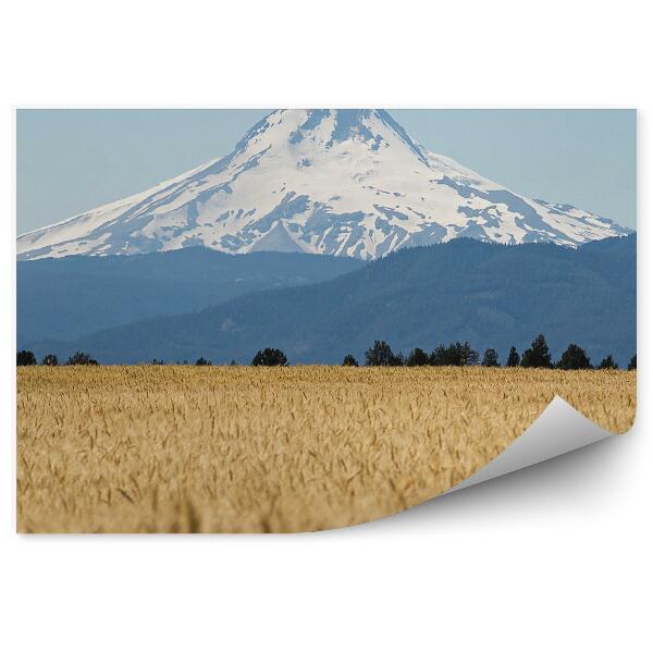 Fototapeta Pole pszenicy drzewa góra hood oregano niebo