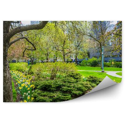 Okleina ścienna Drzewa ogrody żonkile kwiatki park miejski