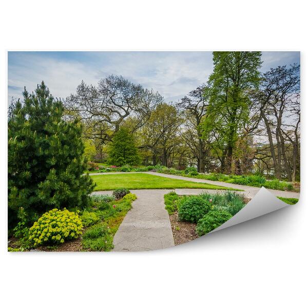 Okleina ścienna Toronto zielony ogród krzewy drzewa