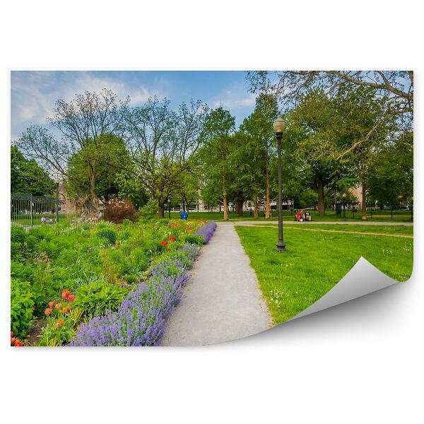 Okleina ścienna Architektura kwiatki droga park zielony