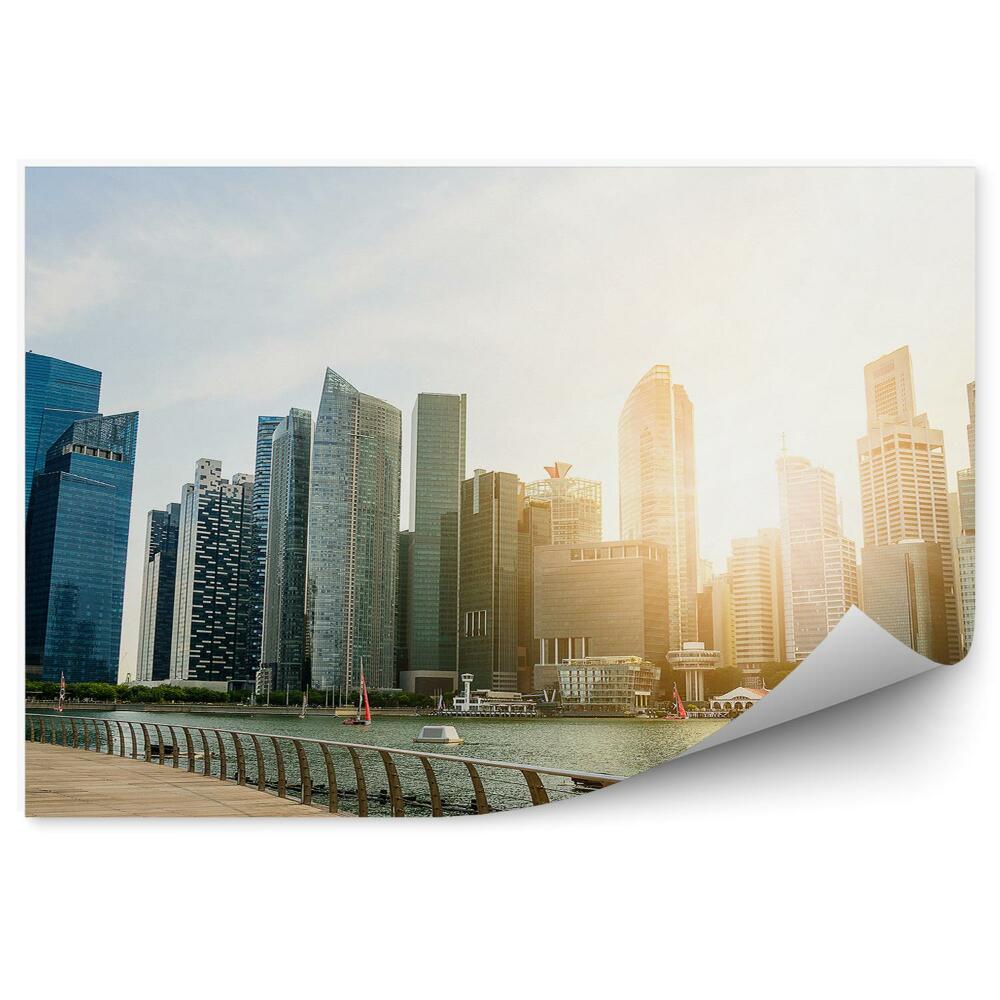 Okleina na ścianę Singapur dzielnicy biznesowa rośliny noc
